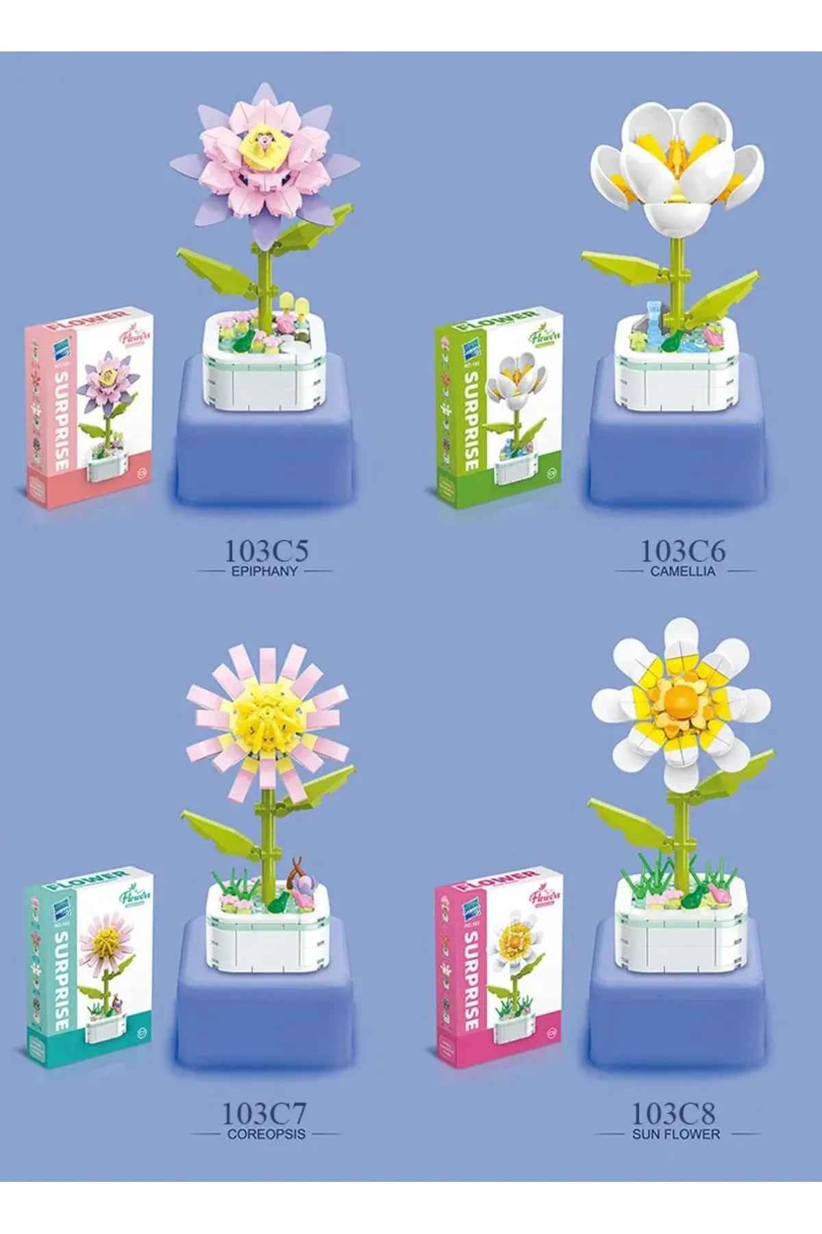 Saksıda Çiçek Yapım Seti Epiphyllum Cactus