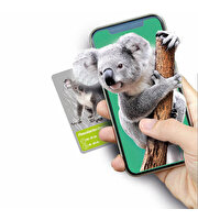 Clementoni Bilim ve Oyun: Dünyadaki Hayvanların Tarihi