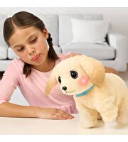 LLP Yavru Köpek İyileşiyor 26679