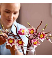 LEGO Botanicals Manolya Dalları 11510