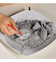 Kazıcı Dinoskeletonlar Stegosaurus