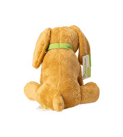 Petrichor Sarı Golden Köpek 30 Cm