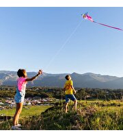 Unicorn Uçurtma 69 Cm