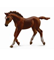 Collecta Safkan Kestane Rengi Tay