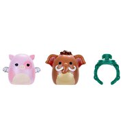 Squishmallows Squish-a-Longs 2'li Sürpriz Paket Seri 3