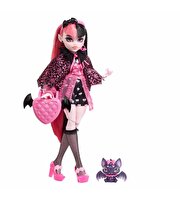 Monster High Ana Karakter Bebekler Draculaura HHK51