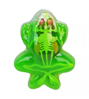 Kurbağa Laboratuvar Seti