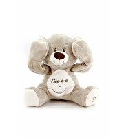 Ce Ee Oyuncu Dostum Ayıcık