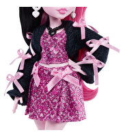 Monster High Ana Karakter Bebekler Draculaura JHK29