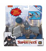 Fisher Price DC League of Super Pets Aksiyon Figürleri Ace HGL11