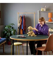 LEGO Icons Yavru Golden Retriever 11384