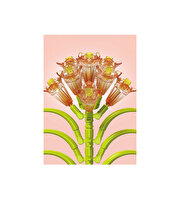 Mega Kri̇stal Çi̇çekler Yapı Blokları Klivya