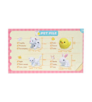 Pet Care Aksesuarlı Oyun Seti Tavşan