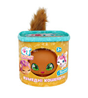 QT Kitties Ginger Yavru Kedi