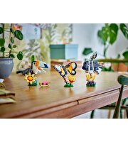 LEGO Creator 3 in 1 Vahşi Hayvanlar: Tropikal Tukan Kuşu 31173
