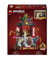 LEGO Ninjago Ninja Karakteri Sergileme Modeli 15. Yıl Dönümü 71866