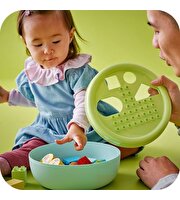 LEGO Duplo Şekil Ayırıcı: Köpek Evi 10441