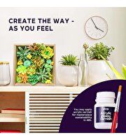 OKTO Succulents Energy 3D Duyusal Sanat Seti