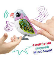 Digibirds Tekli Paket Seri 2 Pembe Beyaz