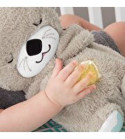 Fisher Price Uyku ve Oyun Arkadaşı Su Samuru FXC66