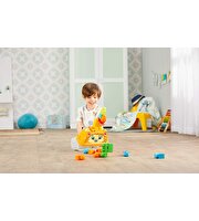 Mega Bloks Sevimli Hayvanlar Blok Kutusu Laughing Lion GFM26