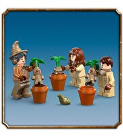 LEGO Harry Potter Hogwarts Şatosu: Bitkibilim Dersi 76445