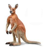 Collecta Erkek Kızıl Kanguru