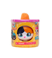 QT Kitties Oli Yavru Kedİ