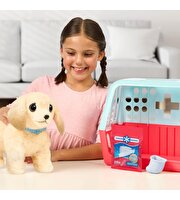 LLP Yavru Köpek İyileşiyor 26679