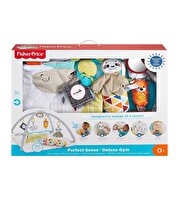Fisher Price Perfect Sense Delüks Jimnastik Merkezi GKD45