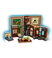 LEGO Harry Potter Hogwarts Anısı Bitkibilim Dersi 76384