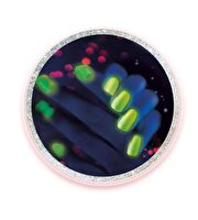 Clementoni Bilim ve Oyun: Tırnak Laboratuvarı