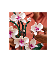 Lego Creator Expert Orkide 10311