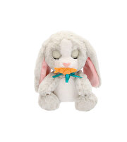 Baby Paws Sesli Tavşan 20 Cm Peluş W2-927124