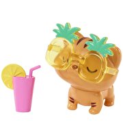 Barbie Extra Hayvan Dostları ve Kıyafet Paketleri HHF80