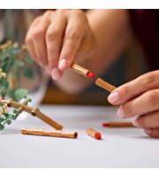 LEGO Botanicals Ayçiçeği Buketi 11502