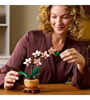 LEGO Botanicals Mini Orkide 10343