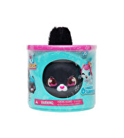 QT Kitties Ash Yavru Kedi