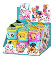 QT Kitties Candy Yavru Kedi