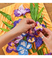 OKTO Irises 3D Duyusal Sanat Seti