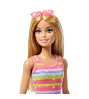 Barbie Pets Paten Macerası Bebek ve Sevimli Köpek Oyun Seti JMJ44