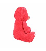 Kırmızı Göbekli Ayı