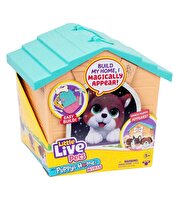 LLP Yavru Köpeğim ve Evi Sürpriz Paket