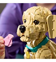 LEGO Icons Yavru Golden Retriever 11384