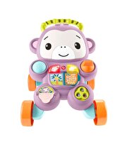 Fisher Price Sesli ve Işıklı Benimle Öğren Yürüteç JGW94