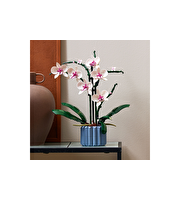 Lego Creator Expert Orkide 10311