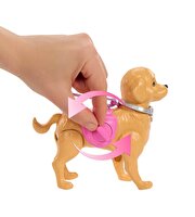 Barbie Malibu ve Köpeği ile Yürüyüş Zamanı Oyun Seti JJB46