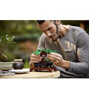 LEGO Creator Expert Bonsai Ağacı 10281