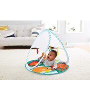 Fisher Price Renkli Dostlar Taşınabilir Jimnastıik Merkezi FXC15