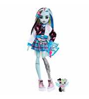 Monster High Ana Karakter Bebekler Frankie Stein HHK53